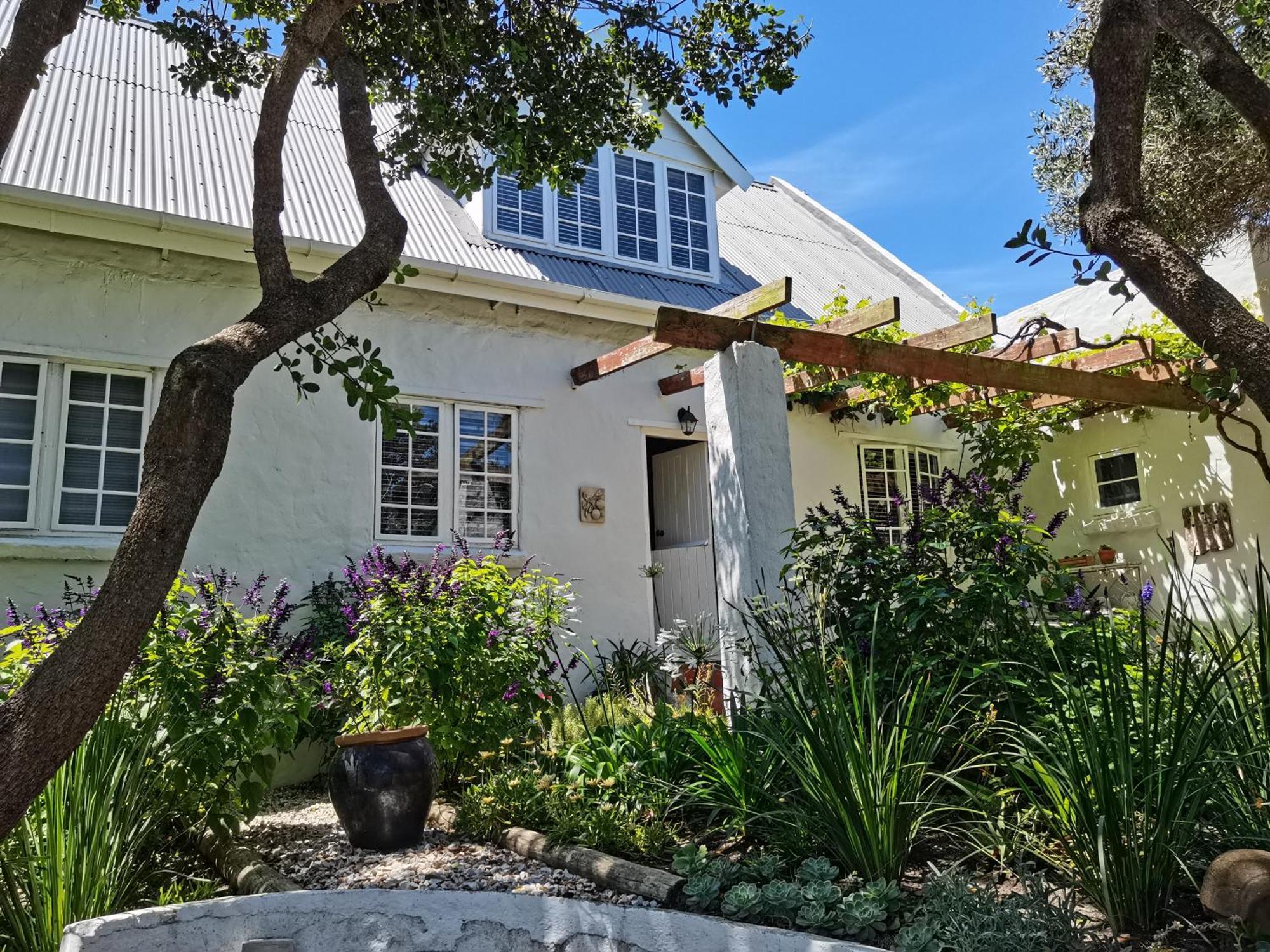 Vermont Lofts Hermanus Eksteriør billede